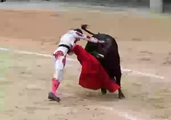 Solving blow photo - Bullfight (corrida)