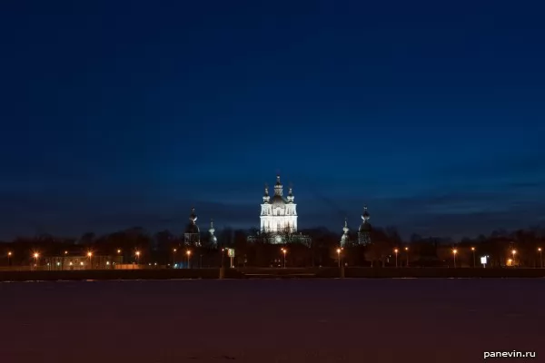 Smolny cathedral