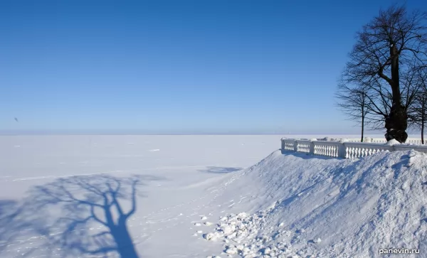 Вид на Финский залив