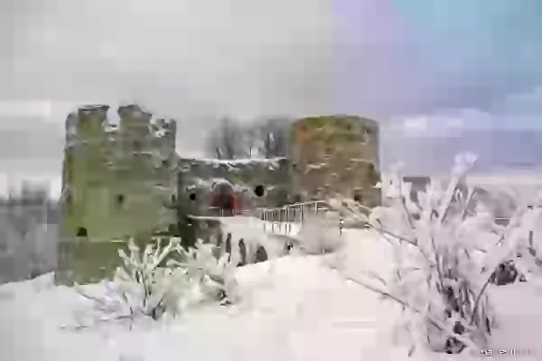 Ворота крепости Копорье фото - Копорье