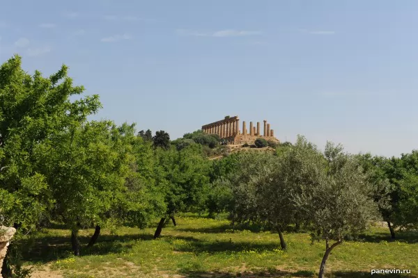 Valley of Temples: the Temple of Hera in Agrigento
