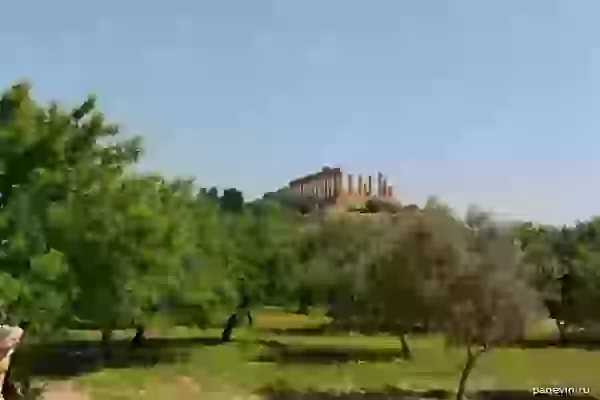 Valley of Temples: the Temple of Hera photo - Agrigento