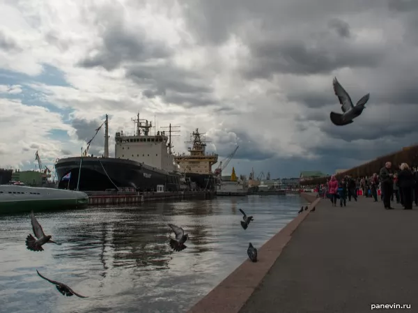 Icebreakers Mudyug and St. Petersburg