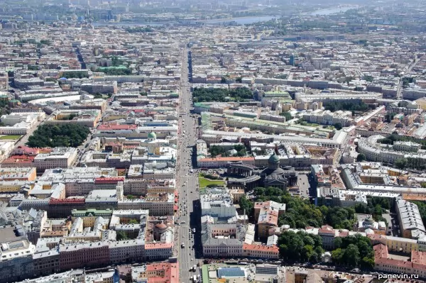 Nevsky prospectus from the helicopter