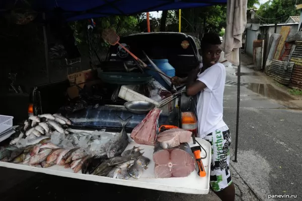 Продавец рыбы фото - Маврикий