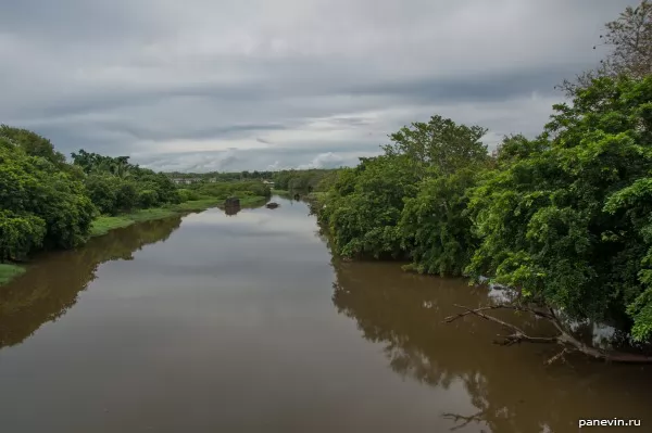 River Tamarin — Mauritius