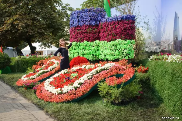 Flag of Azerbaijan from flowers