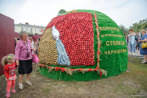 Arms of Voronezh from apples