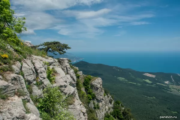 Slope Ai-Petri a photo — the Nature of Crimea