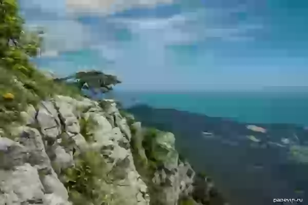 Hillside of Ai-Petri photo - Nature of Crimea