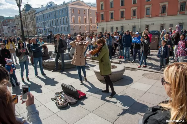 Violinists