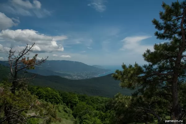 View from mountain Ai-Petri