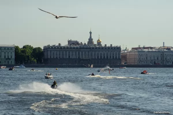 Jet skis, boats, gull