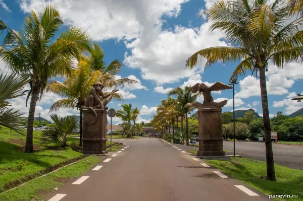 Columns. A zoo Casela, photo — Mauritius