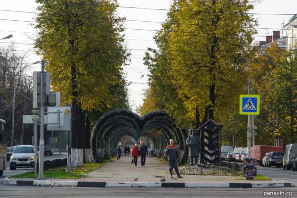 Аллея по проспекту Ленина, Романовская застава