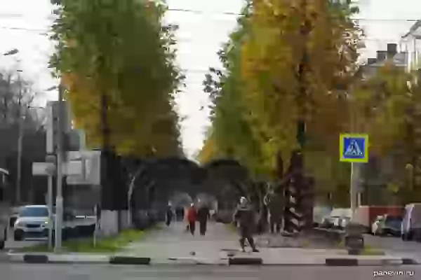 Аллея по проспекту Ленина, Романовская застава фото - Ярославль