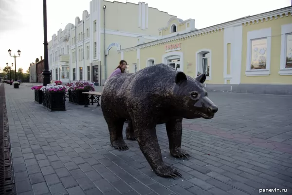 Bear photo - Barnaul