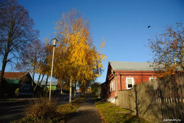 Autumn street