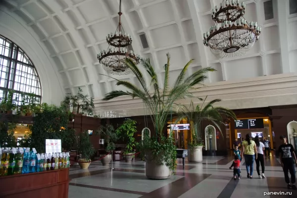 Orangery in the waiting room of Novosibirsk station