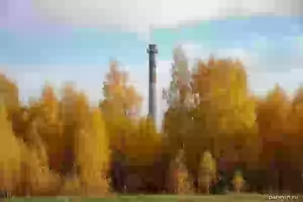 Золотая осень фото - Рыбинск