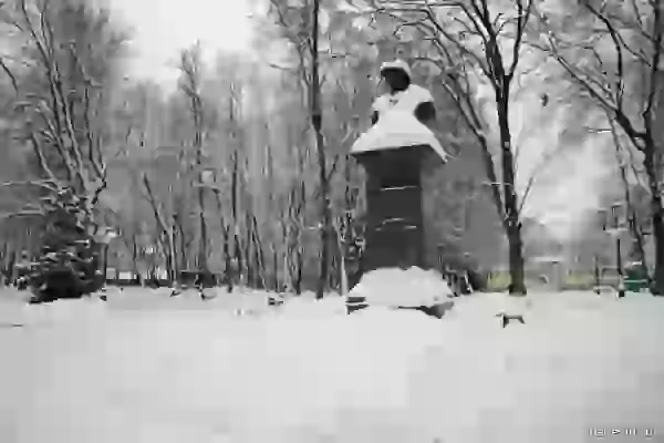 Bust of Alexei Tolstoy photo - Bryansk