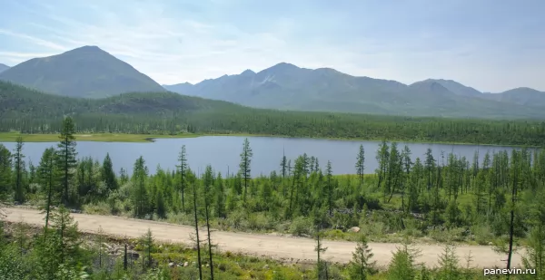 Forest, lake, mountains