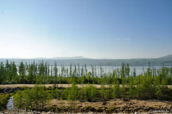 Forest, road and lake