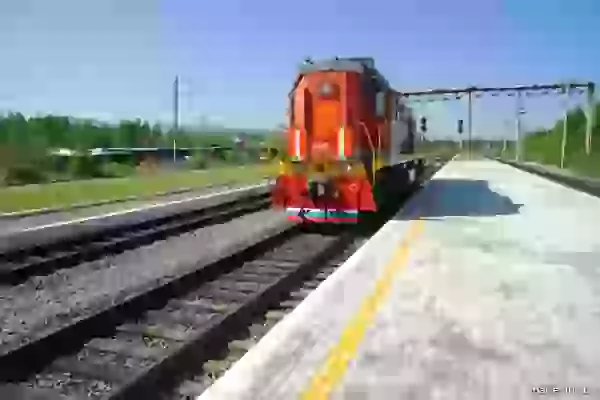 Shunting locomotive TEM18DM photo - Railway transportation
