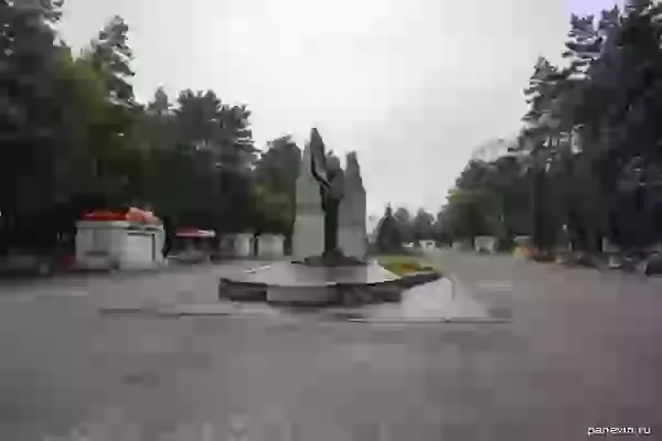 Monument to those killed in local wars Black Tulip photo - Khabarovsk