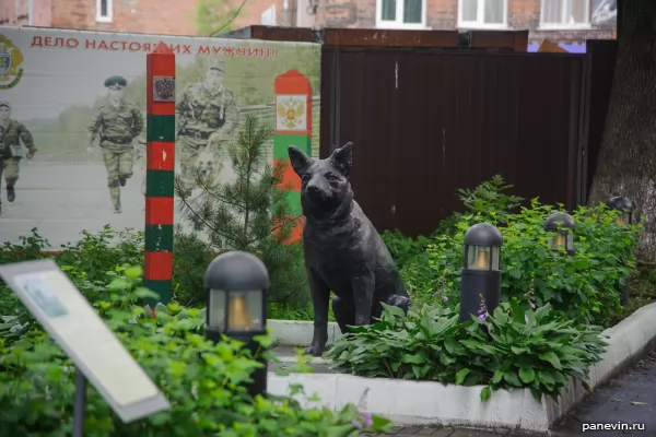 Monument to the dog nicknamed "Ingus" border guard N. F. Karatsupy