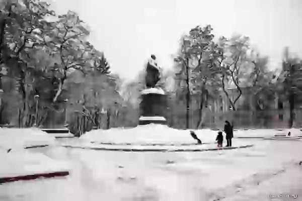Памятник Тютчеву фото - Брянск