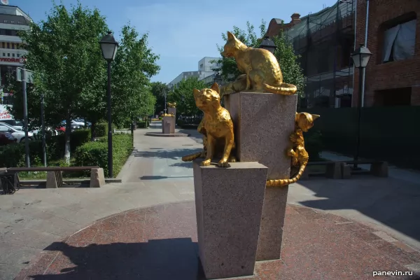 Square Siberian cats