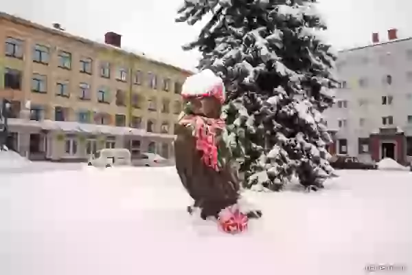 Wooden owl photo - Bryansk